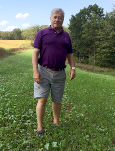 Lush green food plots.