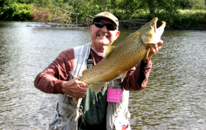 14 lb. male brownie.